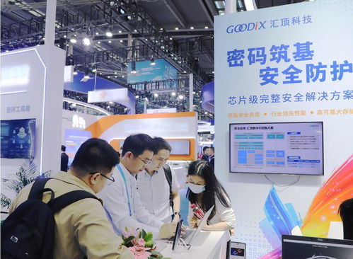 硬核守護(hù)信息安全 匯頂科技芯片級(jí)創(chuàng)新安全方案亮相高交會(huì)，護(hù)航金融信息技術(shù)外包